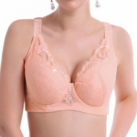 Plus Size Women Soft Push Up Lace Trim Lace Embroidery Underwire Breathable Bras