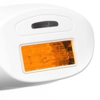 Replacement Lamp