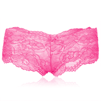Sexy Full Lace Low Rise Perspective Seduced Panties