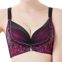 Sexy Lace Embroidery Mesh Push Up Underwire Breathable Adjustable Gather Bras