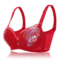 Sexy Lace Embroidery Mesh Underwire Push Up U Shape Back Adjustable Bra