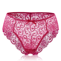 Sexy Perspective Lace Hollow Out Underwear Temptation Bowknot Mid Waist Panties Briefs For Women
