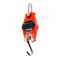 Sf918 300kg/600lbs Digital Hanging Scale Industrial Crane Scale