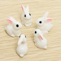 The 5pcs Mini Rabbit For Micro Landscape Decoration