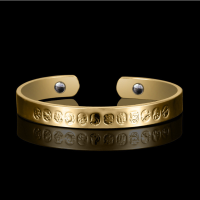 Twelve Zodiac 18k Gold Plated Anti Fatigue Health Magnetic Bracelet For Women