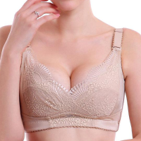 Women Comfort Wire Free Adjustment Brassiere Sexy Lacy Embroidery Gather Soft Breathable Bras