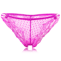 Women Sexy Breathable Lace Embroidery Panties Perspective Fluorescent Briefs