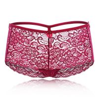 Women Sexy Hollow Out Lace Cotton Crotch See Through Perspective Panties