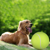 Yani Dct 2 Squishy Giant Tennis Ball Dog Toy Chewing Sport Outdoor Game Throw Run Fetch 24cm