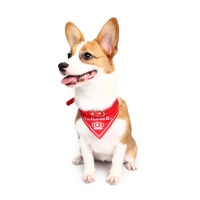 Yani Hg Plj1 Pet Dog Red Imperial Crown Adjustable Collars Pet Cool Decoratoive Towel Pet Drcoration