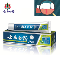 Yunnan Baiyao Chinese Herbal Toothpaste Gum Bleeding Hemostasis Dental Ulcer Repairing