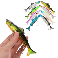 Zanlure 5
