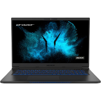 Medion Erazer Beast X25 MD62182 (30033046) 1TB SSD, QHD 165Hz, RTX 3070, WIFI 6, BT, Win 11