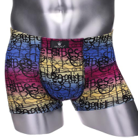 Mens Modal Boxers Briefs Soft Comfortable Casual Underwear