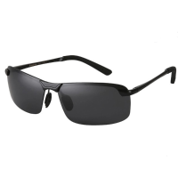 Mens Reedoon Pc Polarized Frameless Single Girder Sunglasses