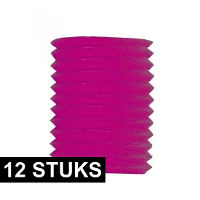 12X Langwerpige papieren lampion roze