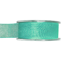 1X Hobby/decoratie mintgroene organza sierlinten 2,5 cm/25 mm x 20 meter