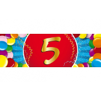 5 Jaar leeftijd sticker   19 x 6 cm   verjaardag versiering   feestartikelen