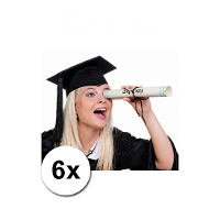 6 Afstudeerhoedjes deluxe