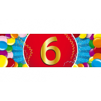 6 Jaar leeftijd sticker   19 x 6 cm   verjaardag   jubileum   versiering
