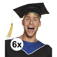 6X Afstudeerhoedje / geslaagd hoedje voor volwassenen