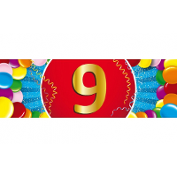 9 Jaar leeftijd sticker 19 x 6 cm verjaardag versiering