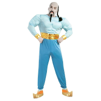 Arabische geest uit fles carnaval verkleedkleding kostuum voor heren   verkleedpak 1001 nacht