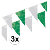Boland Vlaggenlijn   3x   groen/wit   10 meter   kunststof   verjaardag
