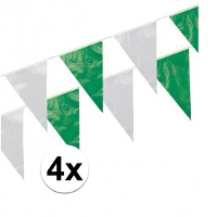 Boland Vlaggenlijn   4x   groen/wit   10 meter   kunststof   verjaardag