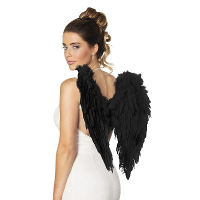 Carnaval/Halloween verkleed engelen vleugels   zwart   50 cm   dames