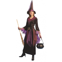 Carnaval/Halloween verkleedkleding heksen jurk   paars   dames   inclusief hoed