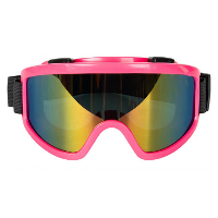 Carnaval/verkleed Apres Ski bril   roze   volwassenen   kunststof   party brillen