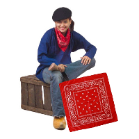 Carnaval verkleed boeren zakdoek   rood   53 x 53 cm   themafeest   boerenlente feest