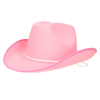 Carnaval verkleed cowboyhoed   roze   vilt   volwassenen   Verkleedhoeden   Dames/heren