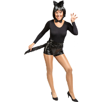 Carnaval verkleed dieren verkleedsetje   kat/poes   voor dames   staart/oortjes/vlinderdas   zwart