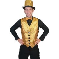 Carnaval verkleed gilet voor heren   goud voor/zwart achter   polyester