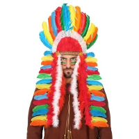 Carnaval verkleed indianen tooi   multi kleur veren   voor heren