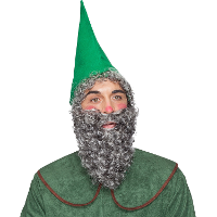 Carnaval verkleed kabouter set   hoed en baard   puntmuts   groen   volwassenen   sprookje