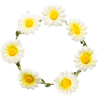Carnaval verkleed krans Hippie   Madeliefjeskrans   wit/geel   dames   Flower Power