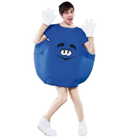 Carnaval verkleed pak/kostuum   snoepje M   blauw   one size M/L   volwassenen