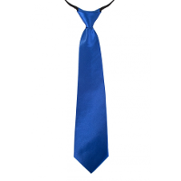 Carnaval verkleed stropdas   blauw   volwassenen   40 cm   met elastiekje