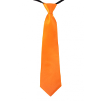 Carnaval verkleed stropdas   oranje   volwassenen   40 cm   met elastiekje