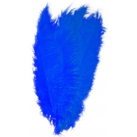 Carnaval verkleed veer/struisvogelveren   blauw   50 cm   Carnaval   Sierveren/charleston veren