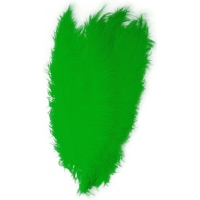 Carnaval verkleed veer/struisvogelveren   groen   50 cm   Carnaval   Sierveren/charleston veren
