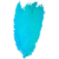 Carnaval verkleed veer/struisvogelveren   turquoise   50 cm   Carnaval   Sierveren/charleston veren