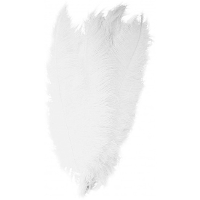Carnaval verkleed veer/struisvogelveren   wit   50 cm   Carnaval   Sierveren/charleston veren