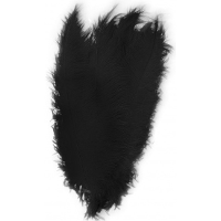 Carnaval verkleed veer/struisvogelveren   zwart   50 cm   Carnaval   Sierveren/charleston veren