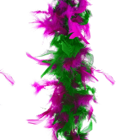 Carnaval verkleed veren Boa   fuchsia/groen   2 meter   Verkleedkleding accessoire