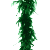 Carnaval verkleed veren Boa   kleur groen   2 meter   Verkleedkleding accessoire