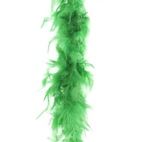 Carnaval verkleed veren Boa   kleur groen   2 meter   Verkleedkleding accessoires